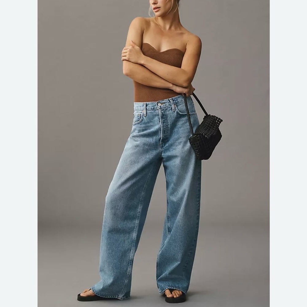 Agolde Low Slung Baggy Jeans Wide Leg High Rise